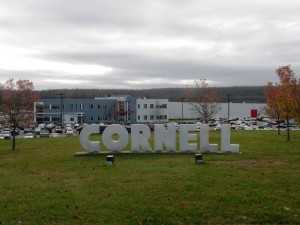 Cornell Iron Works